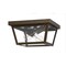 Quoizel Rue De Royal 2-Light Industrial Bronze Flush Mount RO1312IZ - alternate 3